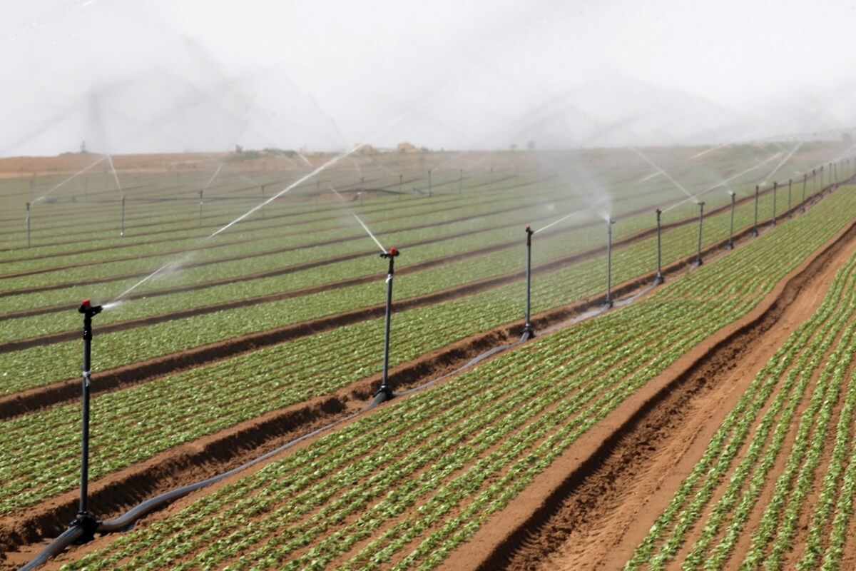Le soluzioni per l'aspersione di Rivulis comprendono irrigatori in plastica a battente per colture ortive in pieno campo